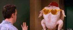 turkey with sunglasses